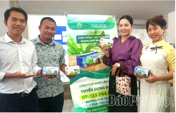 Đánh thức nguồn dược liệu quý