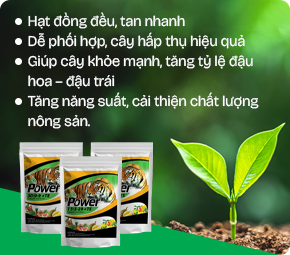 Việt Tranh Đề