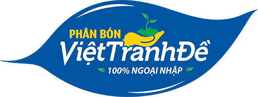 Việt Tranh Đề