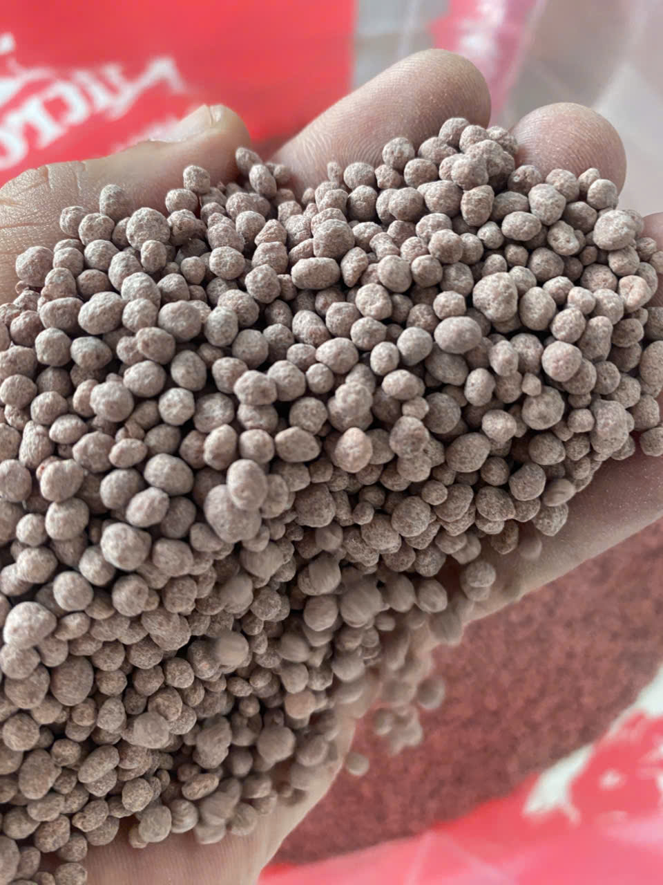 KỸ THUẬT BÓN PHÂN CHO SẦU RIÊNG GIÚP ĐẤT KHỎE – HOA MẠNH – ĐẬU TRÁI CAO