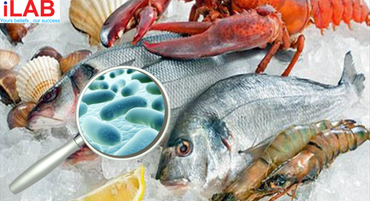 Thủy hải sản & sản phẩm từ thủy hải sản