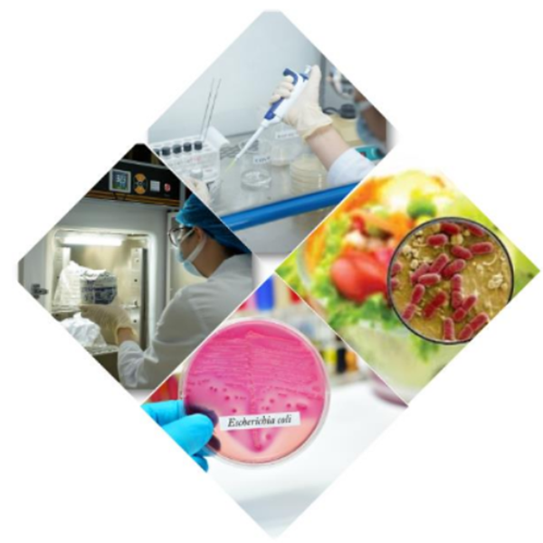 Kiểm nghiệm vi sinh vật