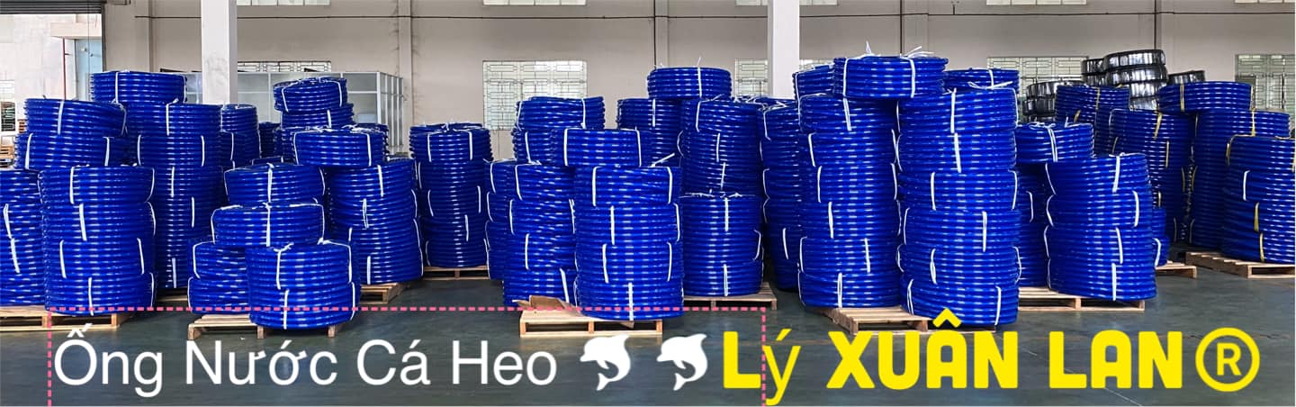 ỐNG LƯỚI DẺO LÝ XUÂN LAN LXL PHI 6 ĐẾN PHI 60 MÀU XANH BIỂN