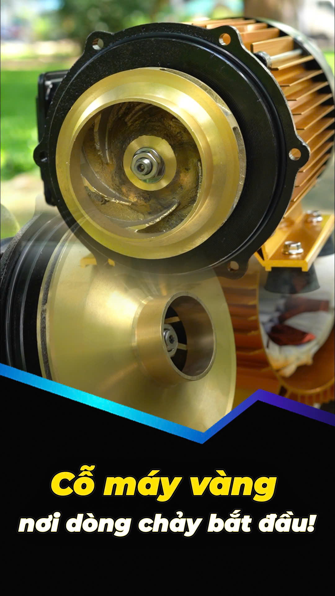 MÁY BƠM 750W DÂN DỤNG TƯỚI TIÊU THÂN VÀNG GOLD NAVY GD24K