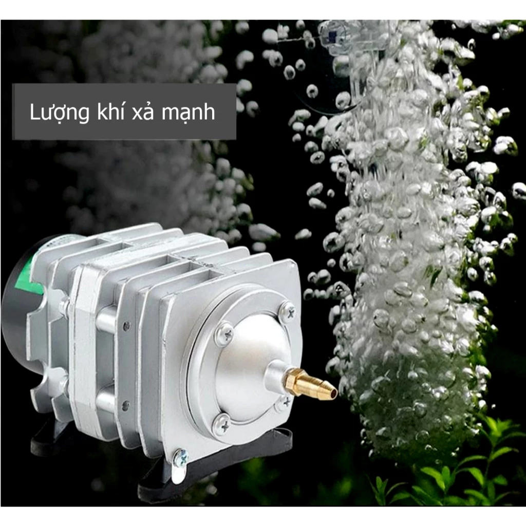 Máy sủi oxy HAILEA ACO 208/318/328 25W