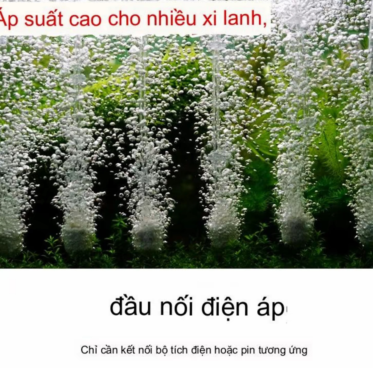 Máy Sủi Oxy Bể Cá Hailea ACO-003 25W - 55L/P Chạy Ắc Quy