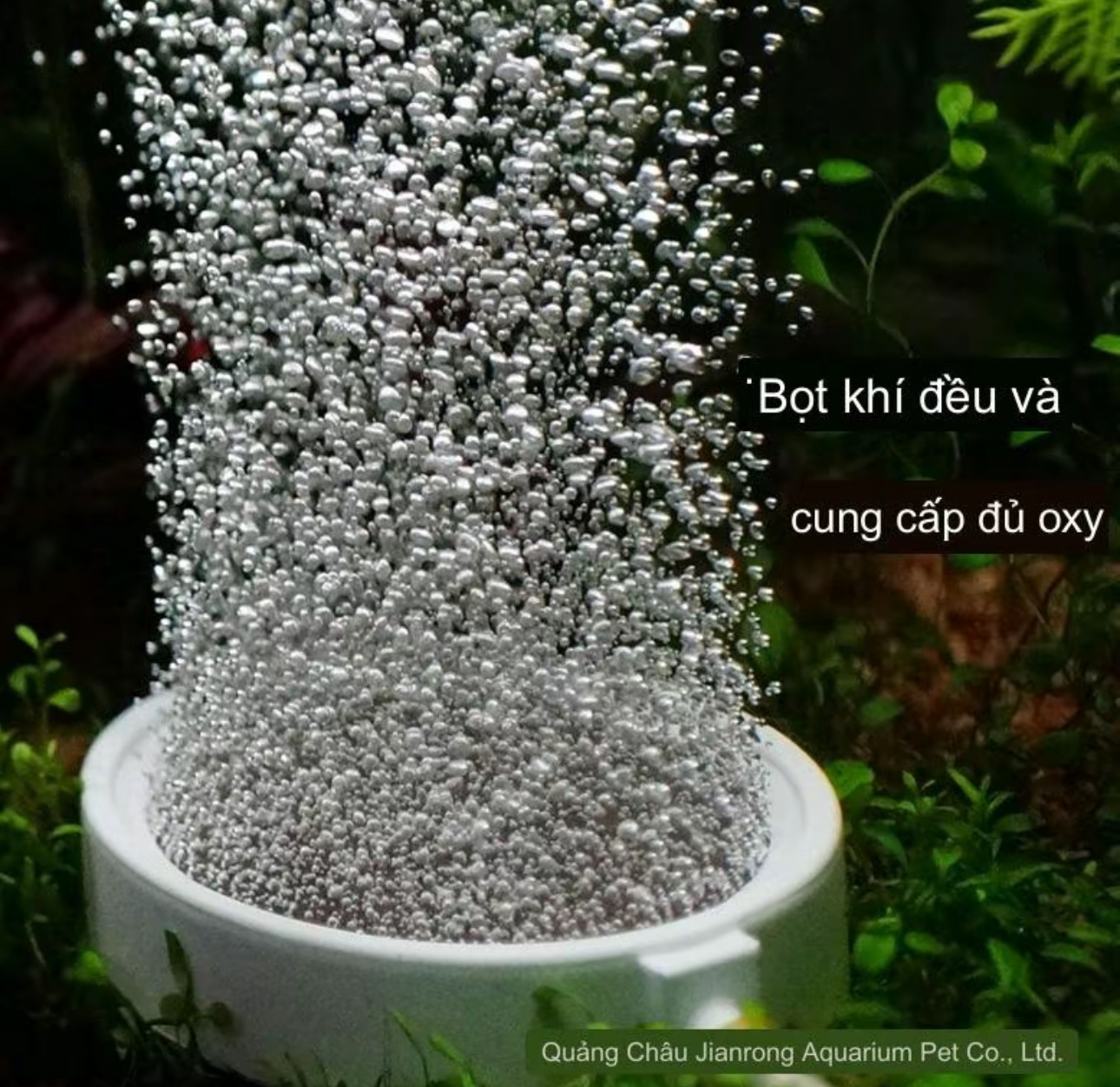 Máy Sủi Oxy Bể Cá Hailea ACO-006D 35W - 55L/P Chạy Ắc Quy