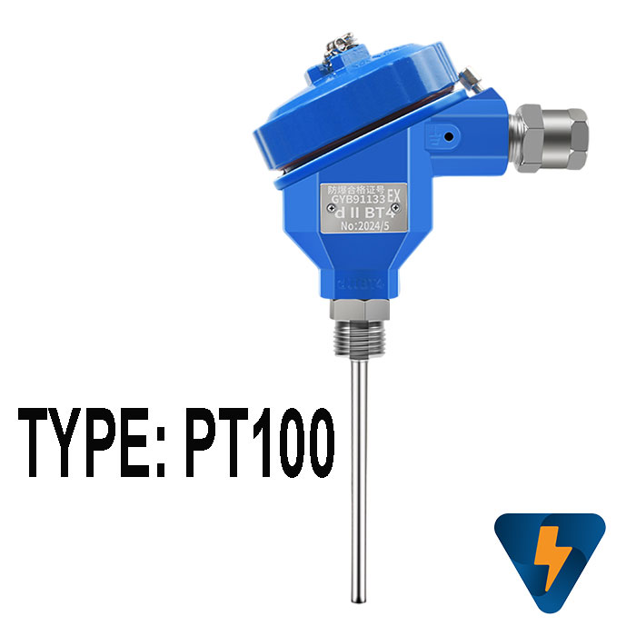 Cảm biến PT100 củ hành