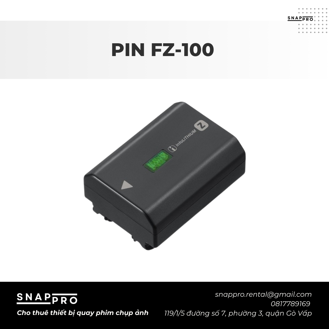 Pin FZ-100