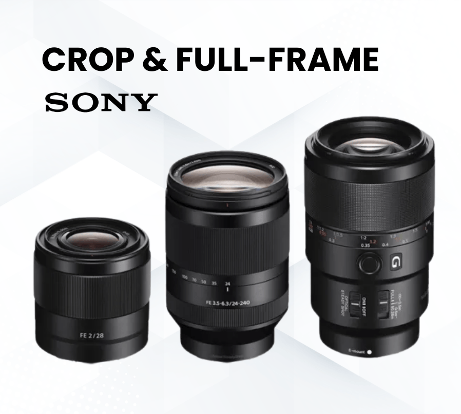 Cho thuê lens Sony giá rẻ uy tín Hồ Chí Minh