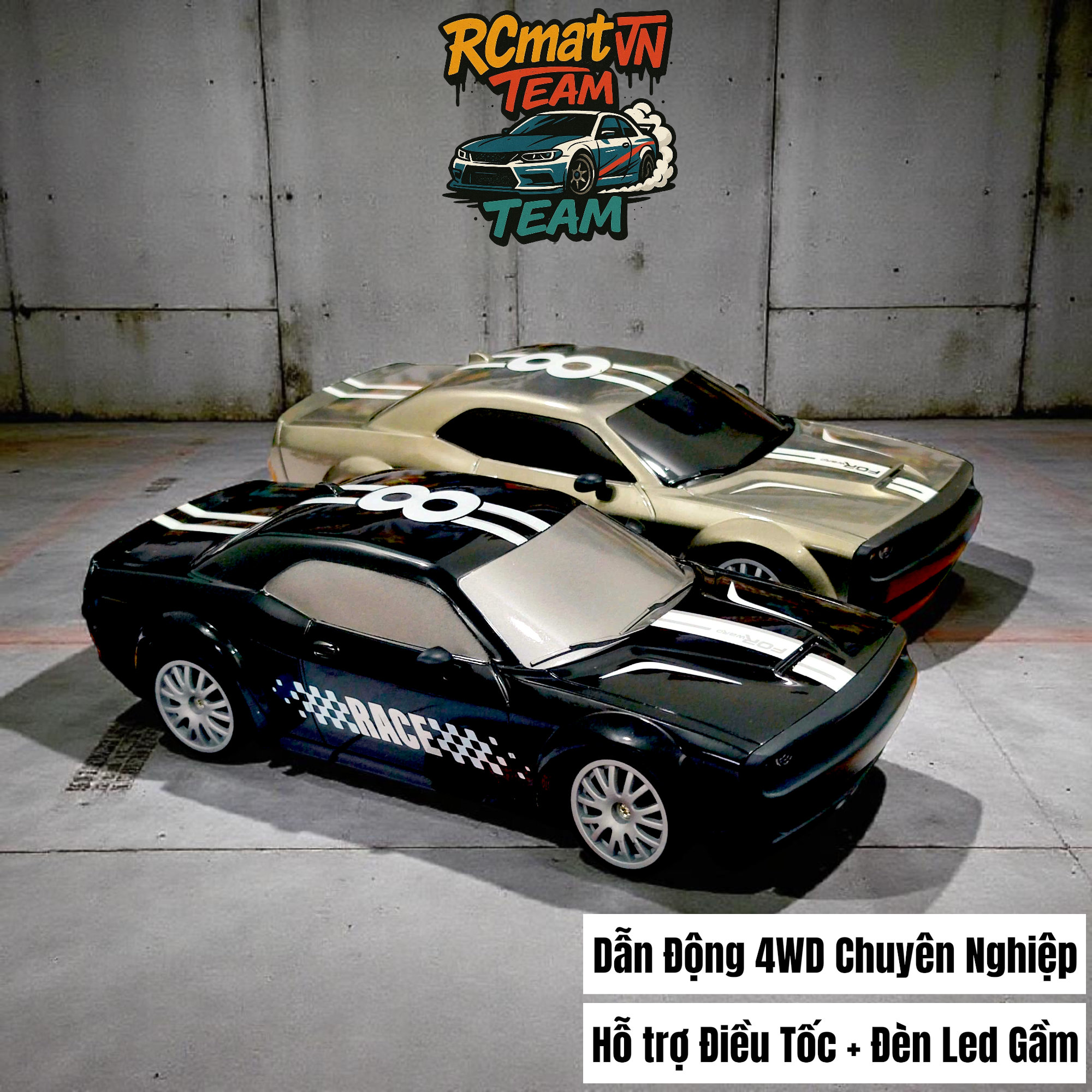XE RC DRIFT CAR ĐIỀU KHIỂN TỪ XA FAYEE 1:20 - NO.FQD13/NO.FQD15