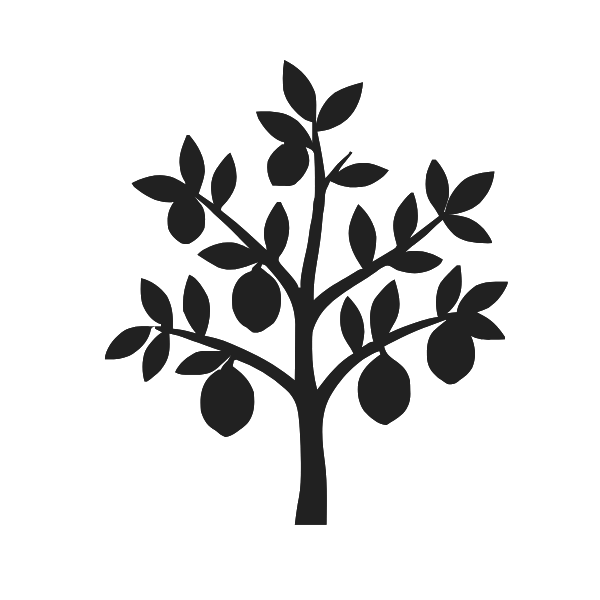 Ra Hoa – Đậu Quả