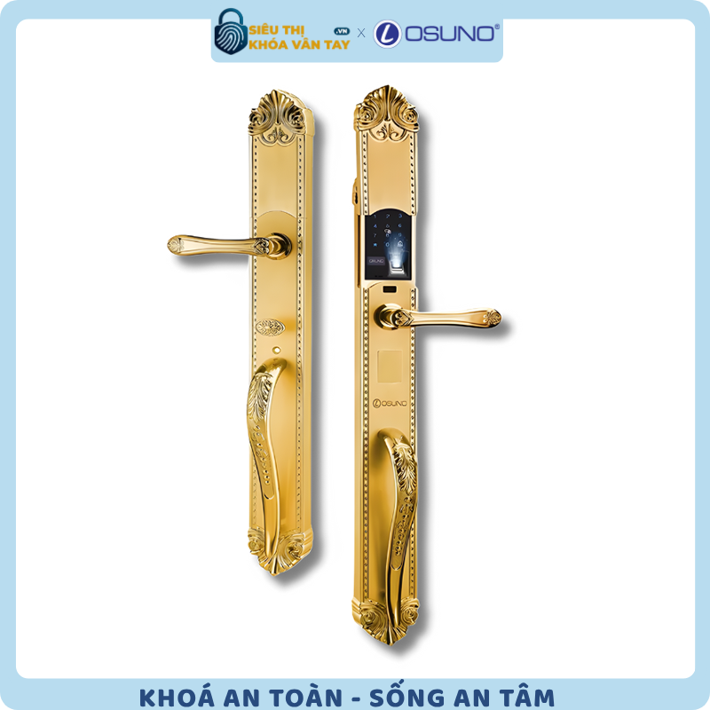 Khóa vân tay đại sảnh Osuno OSN-KBT06