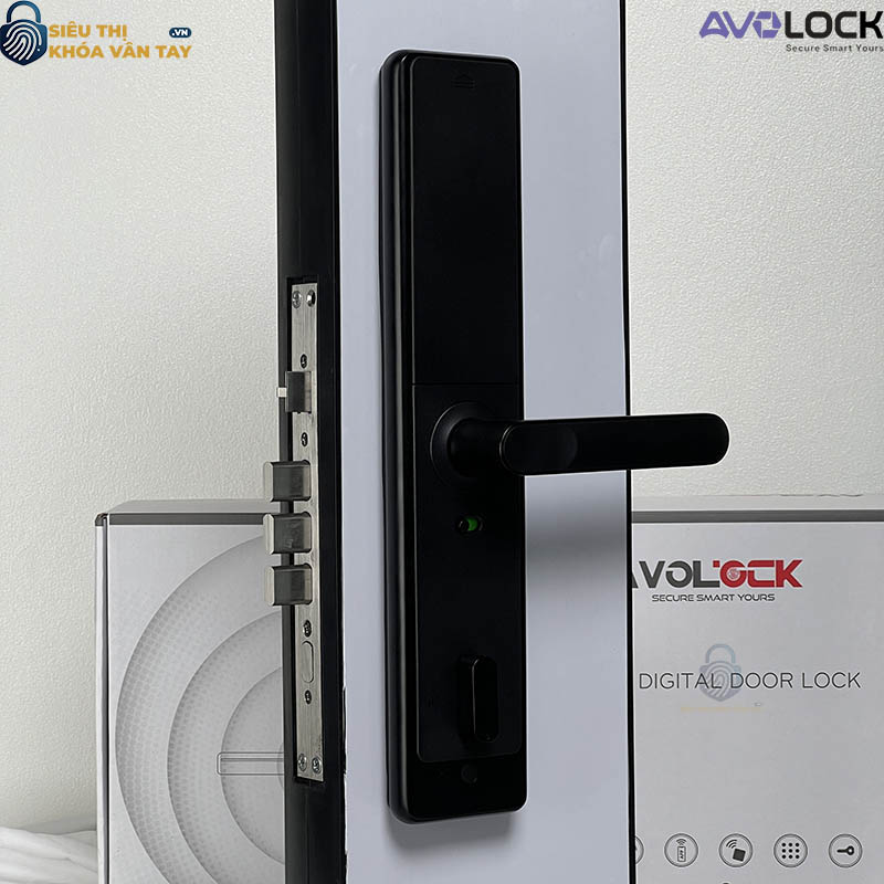 Khóa vân tay Avolock cửa gỗ AV 64 mang đến giải pháp an toàn hiện đại cho mọi gia đình