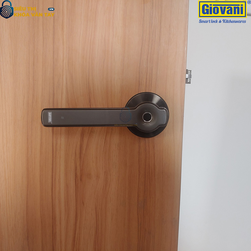 Khóa vân tay cửa phòng Giovani GSL-S3 màu đen