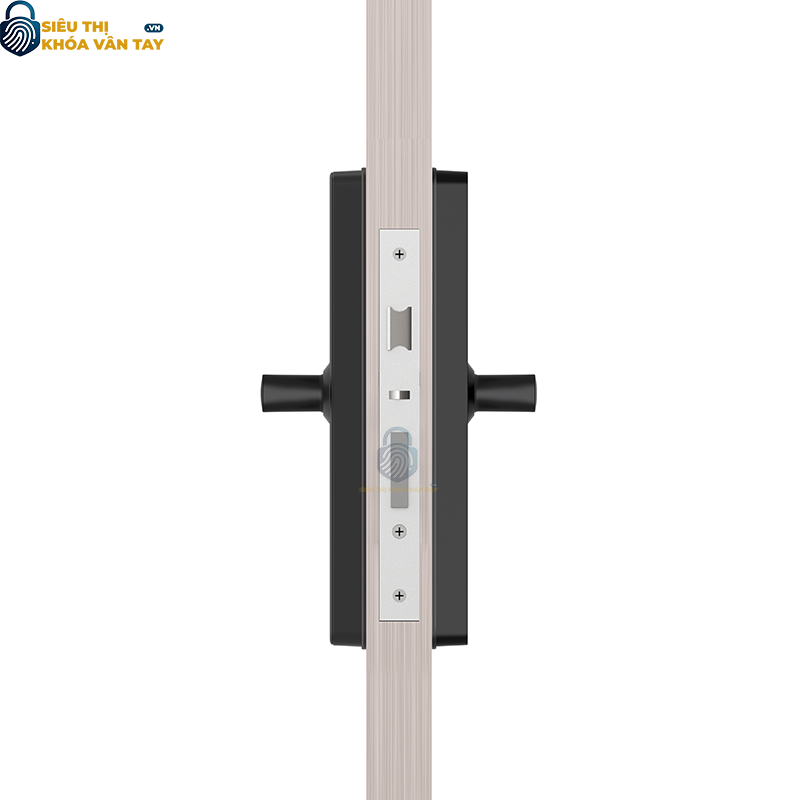 Khóa cửa vân tay Philips DDL609-5HS