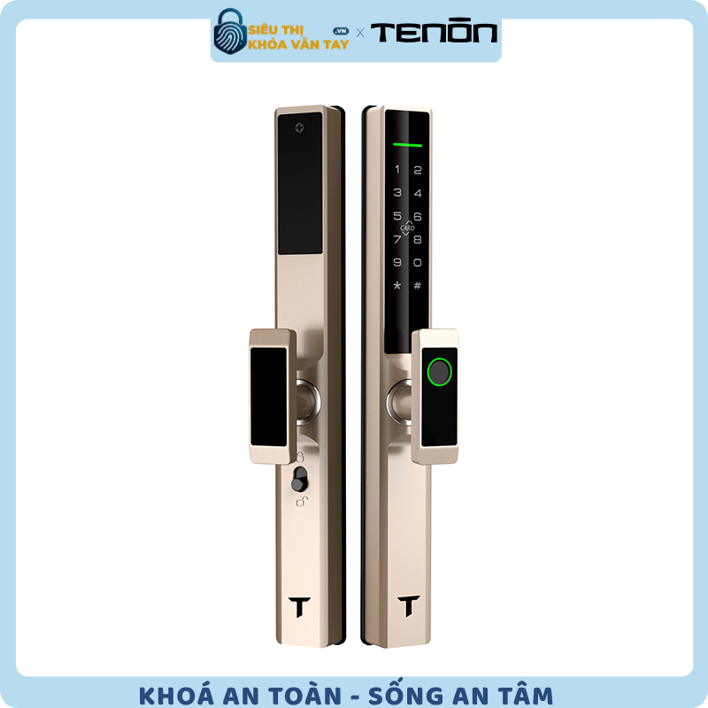 Khóa cửa thông minh Tenon AL6