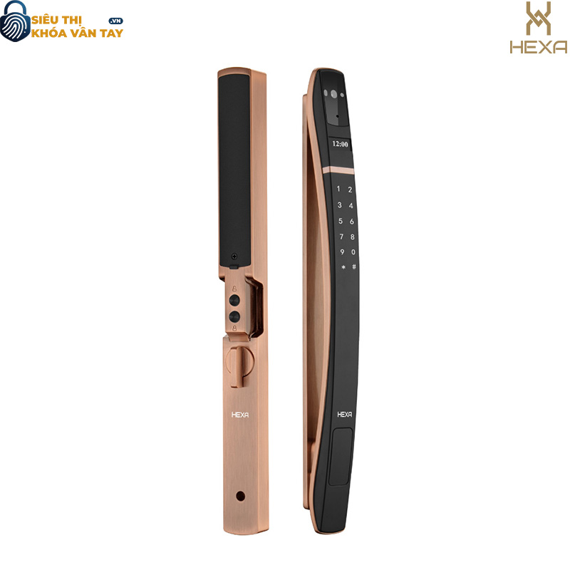 Khóa vân tay cửa nhôm Hexa P300