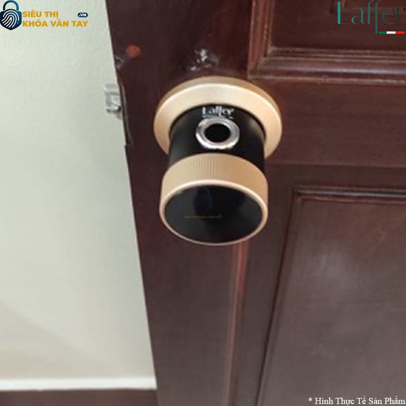 Khóa Vân Tay Cửa Phòng Laffer B12
