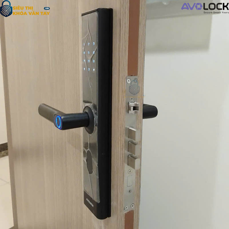 Thiết kế sang trọng, chắc chắn, khóa vân tay AV 67 phù hợp lắp cho các loại cửa gỗ thông dụng