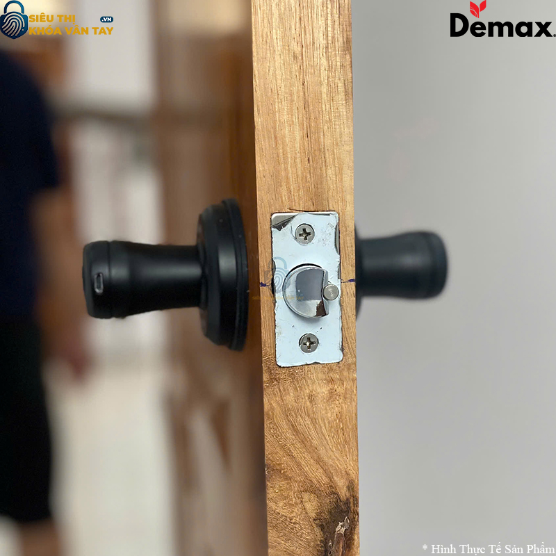 Khoá Vân Tay Cửa Phòng Demax SL109