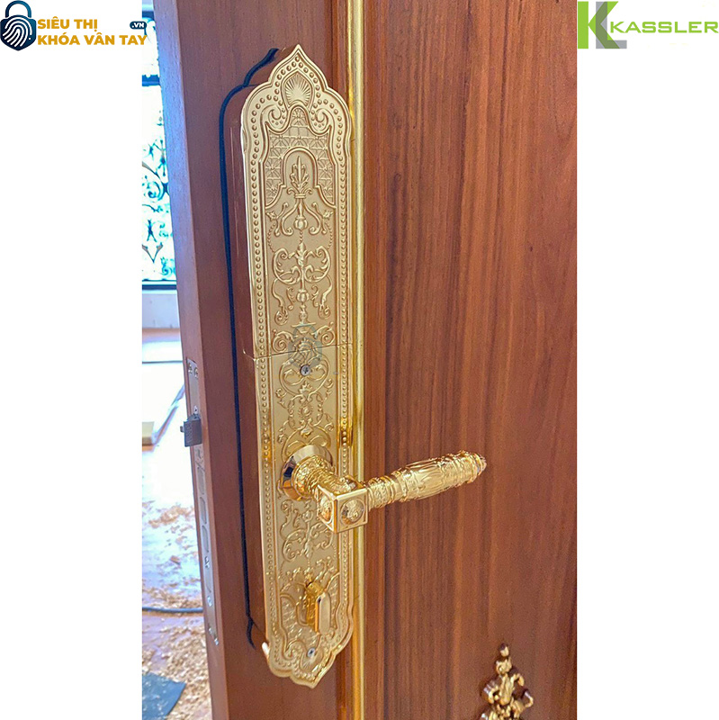 Thiết kế tay cầm bản lớn, thân khóa chắc chắn, tạo điểm nhấn sang trọng cho cửa gỗ 2 cánh hoặc cửa đại sảnh