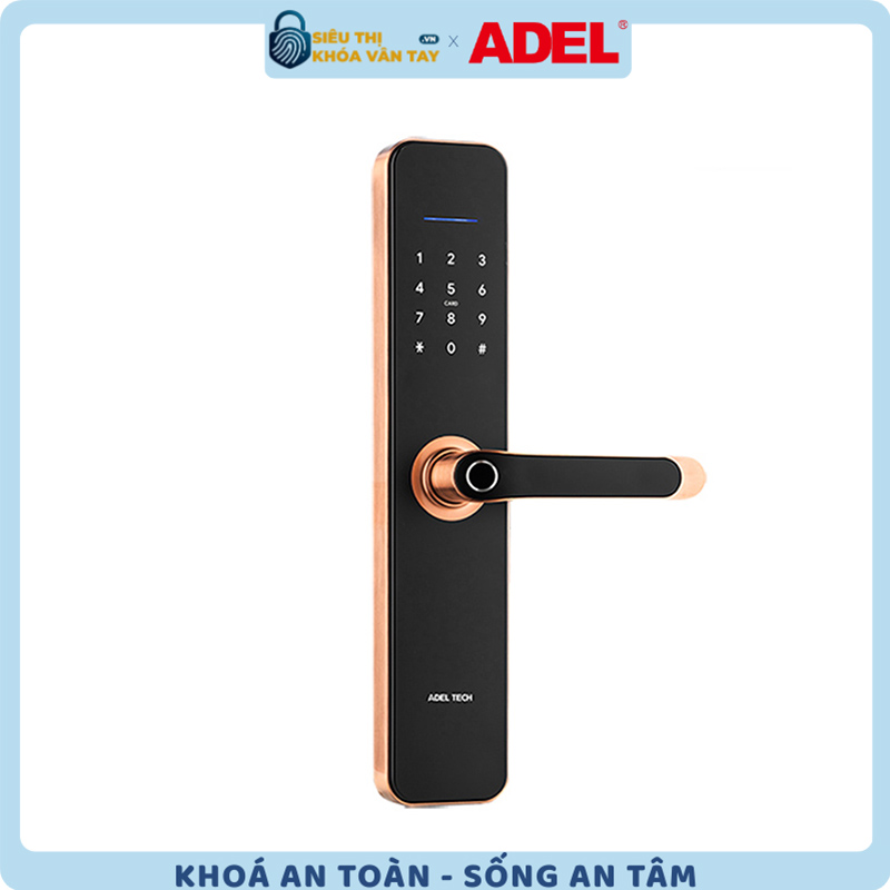 Khóa vân tay Adel cửa gỗ US13 - LB11B/LC11B là lựa chọn hoàn hảo cho những ai yêu thích sự an toàn và tiện nghi