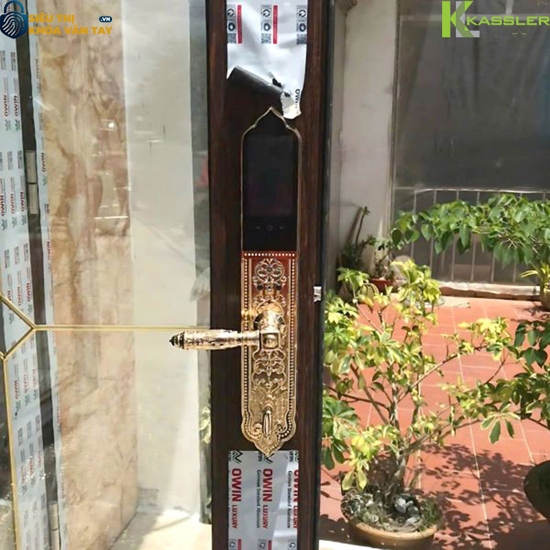 Thiết kế bản lớn, tay cầm sang trọng, tạo điểm nhấn mạnh mẽ cho cửa gỗ đại sảnh 2 cánh