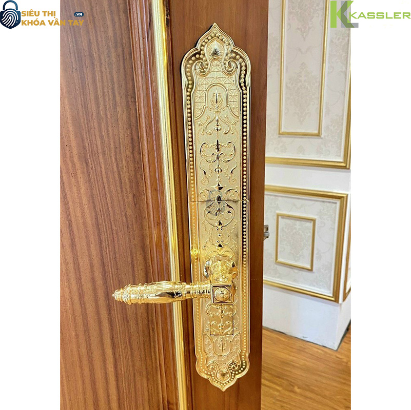 Thiết kế tay cầm bản lớn, thân khóa chắc chắn, tạo điểm nhấn sang trọng cho cửa gỗ 2 cánh hoặc cửa đại sảnh
