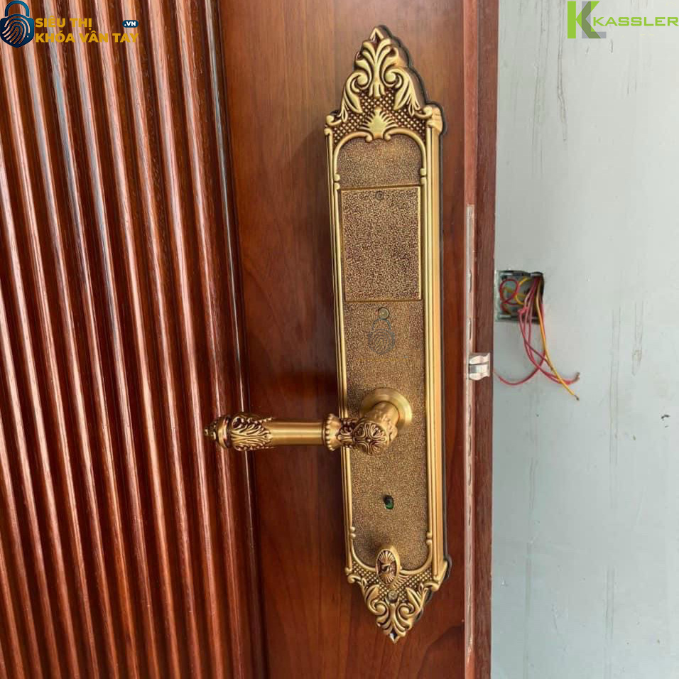 Thiết kế bản lớn, tay cầm sang trọng, mang phong cách châu Âu, phù hợp cho cửa gỗ 2 cánh, cửa đại sảnh
