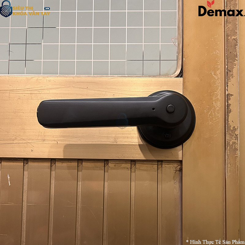 Khoá Vân Tay Cửa Phòng Demax SL109