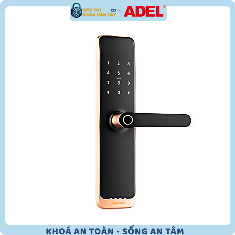 Khoá vân tay cửa gỗ Adel US13 - LB1B/LS1B/LC1B