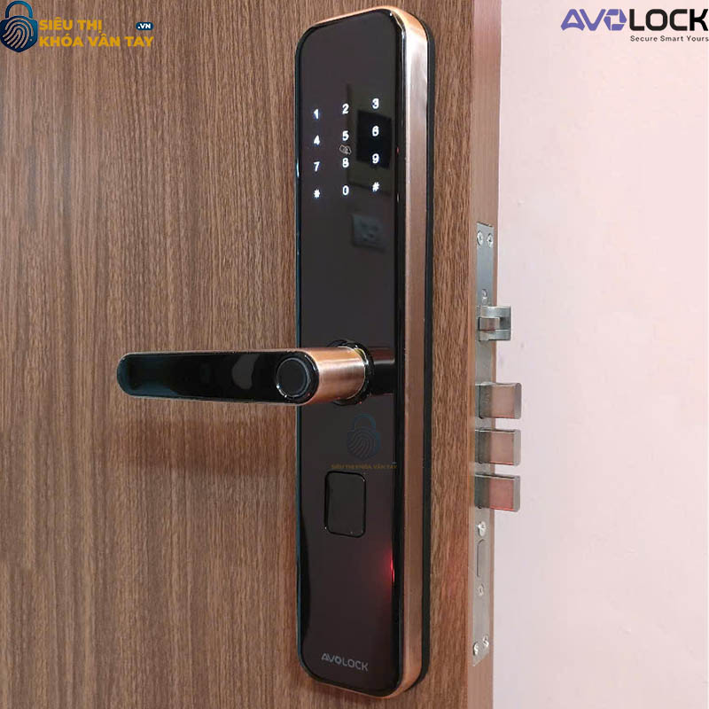 Khóa Vân Tay Avolock Cửa Gỗ  AV 65