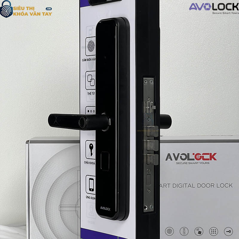 Khóa Vân Tay Avolock Cửa Gỗ  AV 65