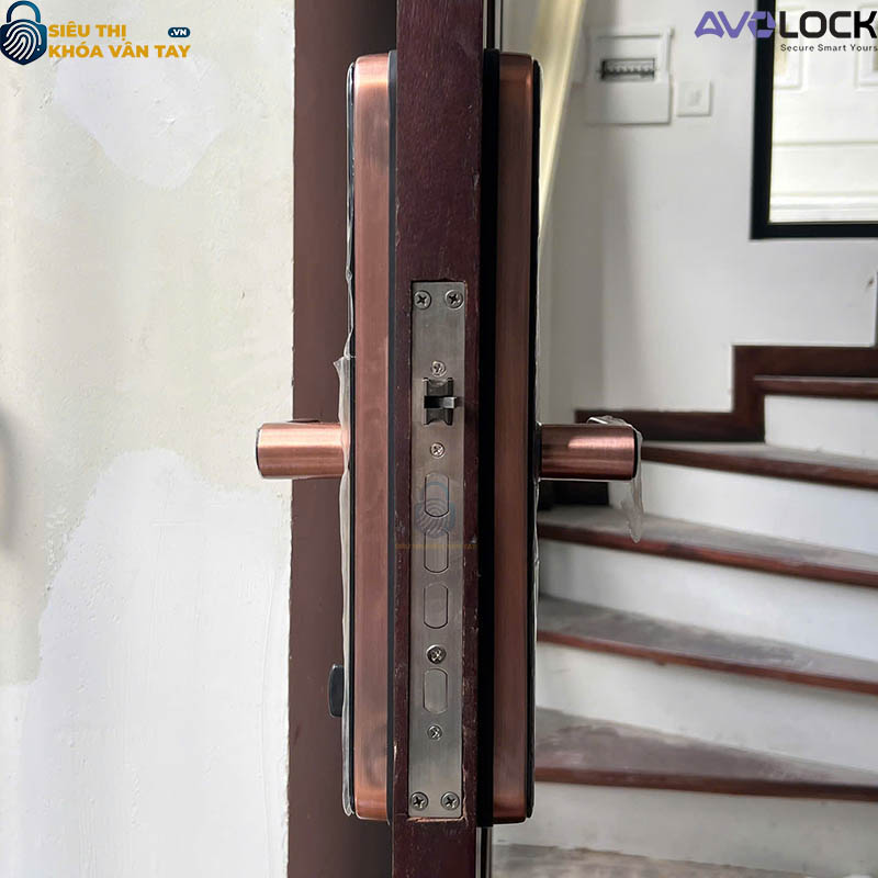 Khóa Vân Tay Avolock Cửa Gỗ  AV 65