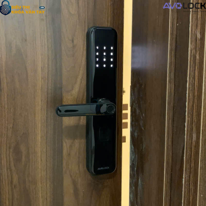 Khóa Vân Tay Avolock Cửa Gỗ  AV 65