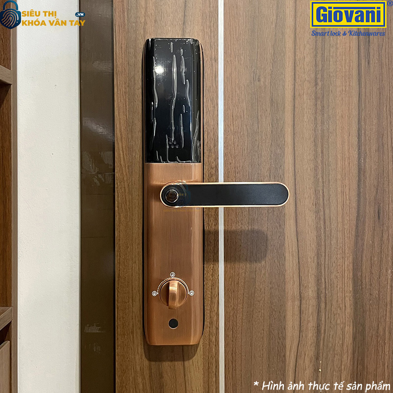 Khóa vân tay Giovani cửa gỗ GSL-A3BR màu đen hồng