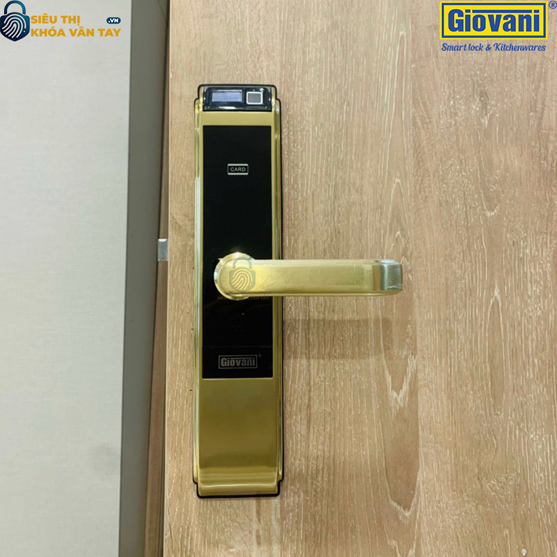 Khóa vân tay Giovani cửa gỗ GSL-C138FG màu vàng