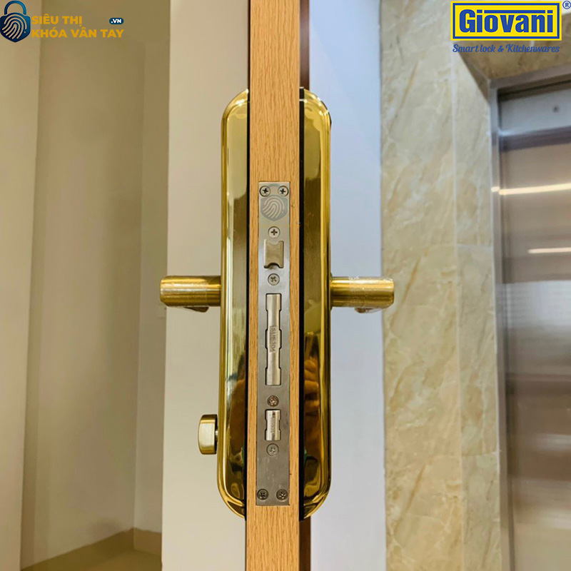 Khóa vân tay Giovani cửa gỗ GSL-C138FG màu vàng