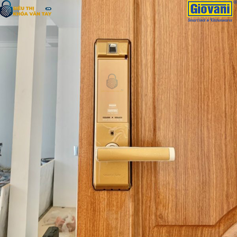 Khóa vân tay Giovani cửa gỗ GSL-K66 màu vàng