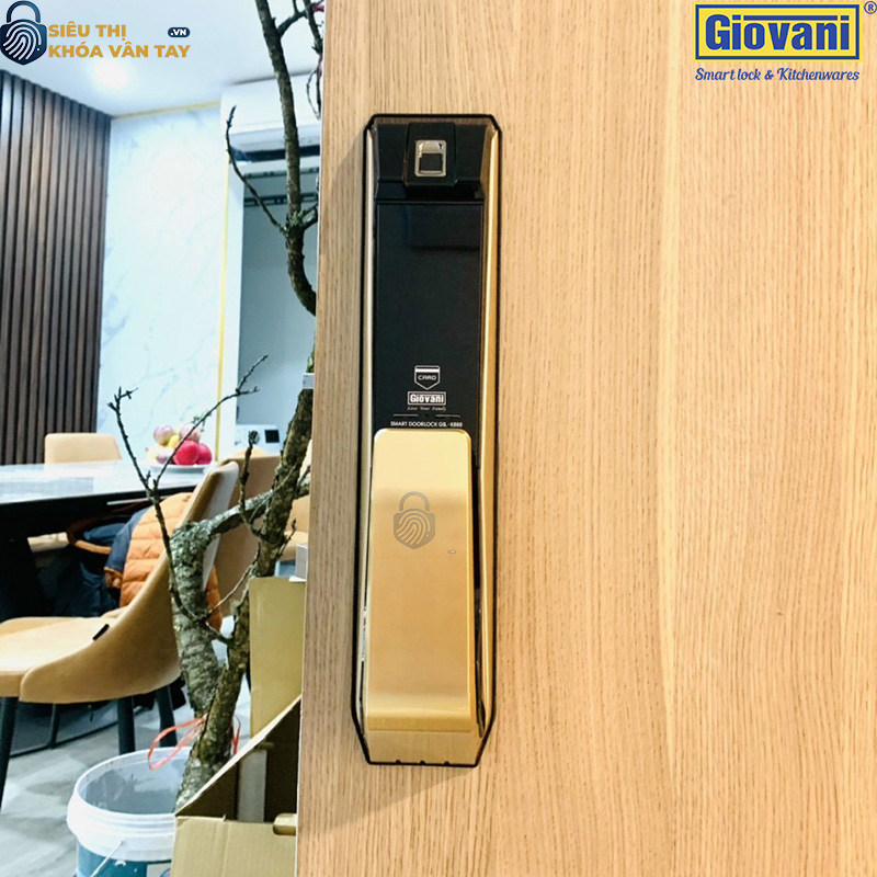 Khóa vân tay Giovani cửa gỗ GSL-K888BG màu đen vàng