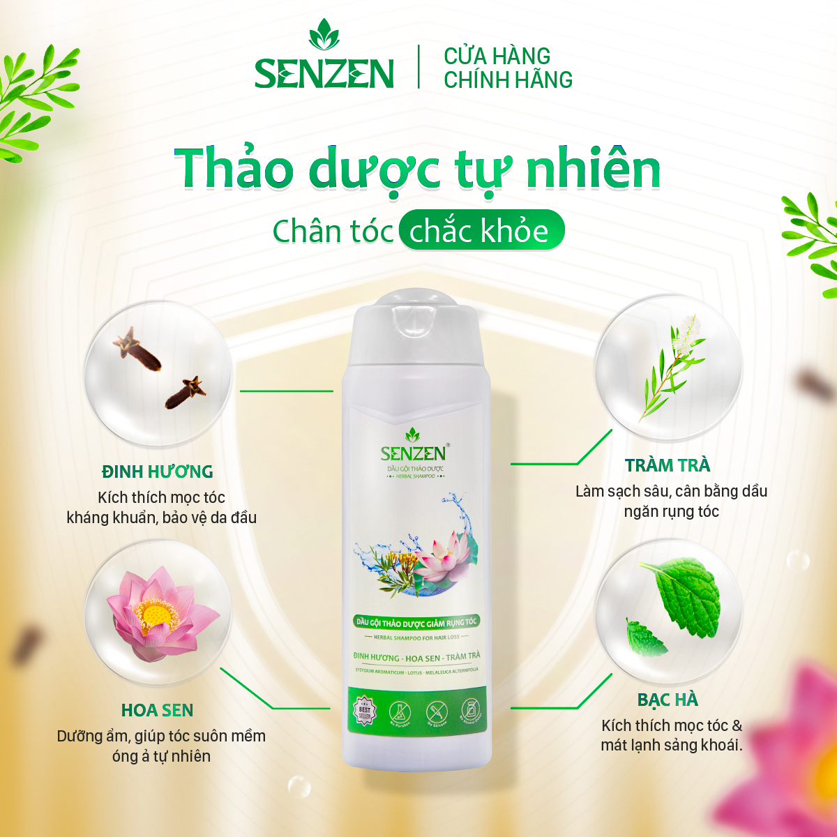 Dầu Gội Thảo Dược Giảm Rụng SENZEN 260ML