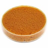 Anion FFIP - INDIAN