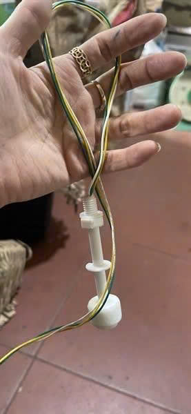 Phao cảm biến