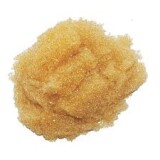 Cation Purolite C100 - Anh