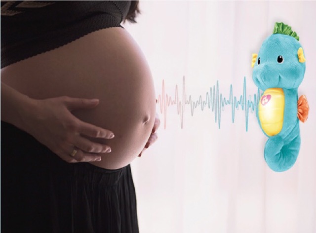 (Chính Hãng) Cá ngựa ru ngủ - Soothe & Glow Seahorse