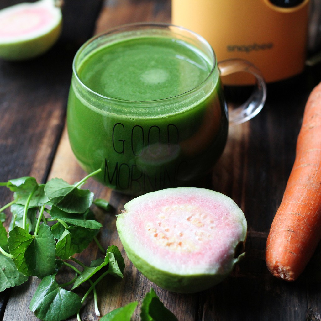 Máy ép chậm SnapBee