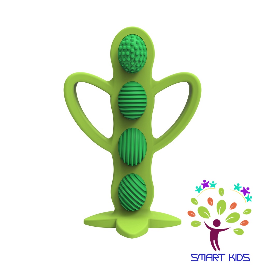 Gặm nướu + bàn chải đánh răng Dr Brown’s 2 trong 1 100% silicone – Đậu Xanh Peapod