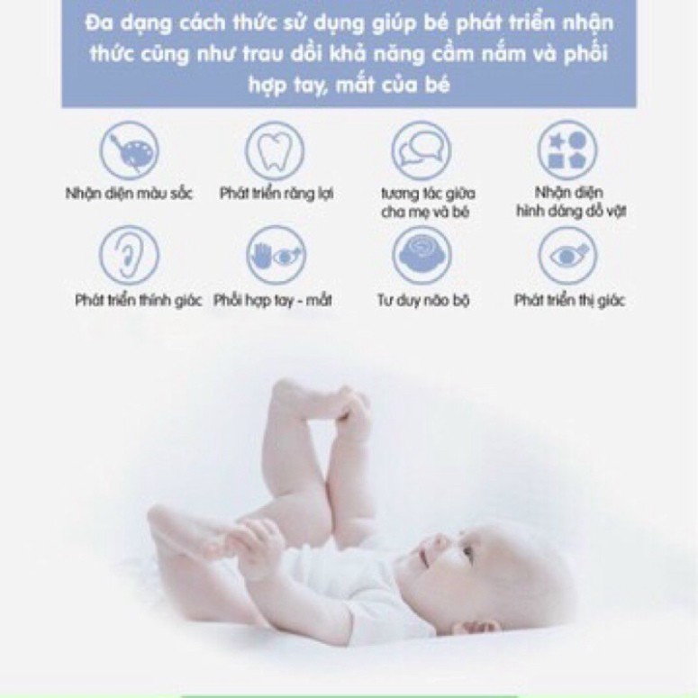 Bộ xúc xắc 9 món Goryeo baby