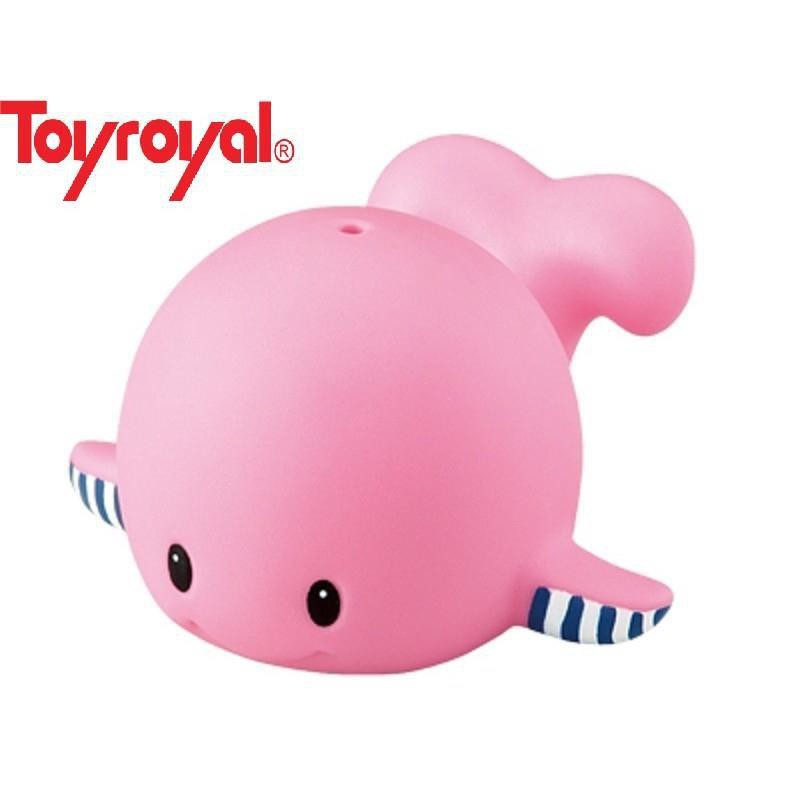 7178 Cá voi hồng phun nước